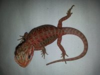 20131016_161348.jpg