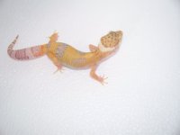 pics 022.jpg