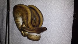 20130921_104706.jpg