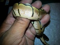20131113_171238.jpg