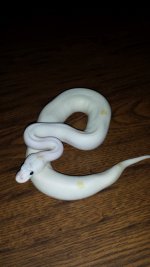 20131115_102736.jpg