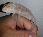 2013-08-24 12.22.55.jpg