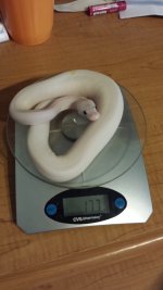 20131115_102627.jpg