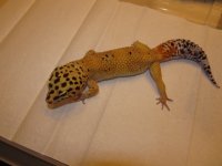 11-03-13 004.jpg
