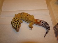 11-03-13 005.jpg
