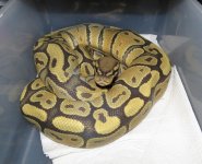 IMG_0063.JPG