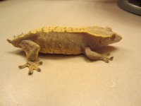 IMG_0511.jpg