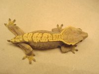 IMG_0512.jpg