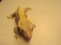 IMG_0513.jpg