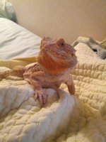 boy2.jpg