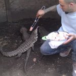 fritz and tegus..jpg
