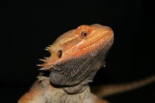 IMG_0301.jpg