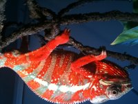 IMG_0294.jpg