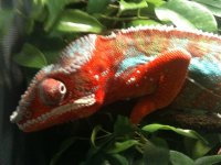 IMG_0276.jpg