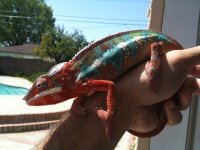 IMG_0258.jpg