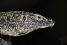 DSC_1311.jpg