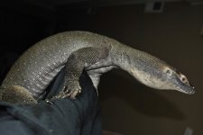DSC_1309.jpg