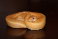 IMG_0355.jpg