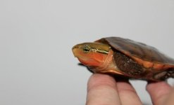 head3.jpg