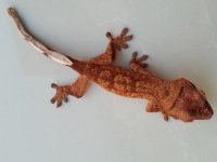 20131010_150525.jpg