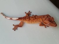 20131010_150536.jpg