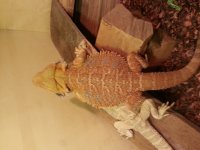 20130813_204209.jpg