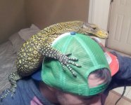 Croc_01.jpg