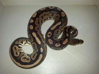 2013091295190845.jpg