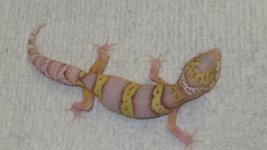 forsale 016.JPG