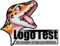 logoex-1.png
