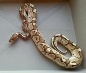 2013091295190528.jpg