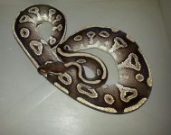 2013091295190735.jpg