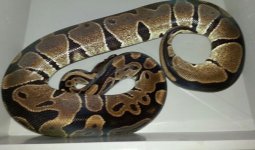 2013091295192743.jpg
