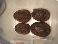 20131004_155043.jpg