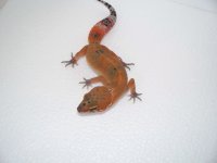 pics 038.jpg
