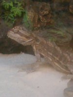 IMG1122.jpg