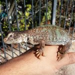 20131130_102419-1.jpg