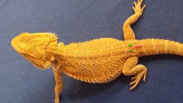 20131026_145049.jpg