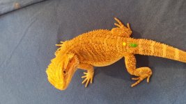 20131026_145645.jpg