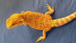 20131026_143950.jpg