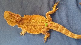 20131026_150433.jpg