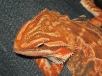 IMG_4405.JPG