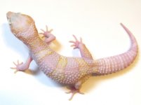 B28-3 Month.jpg