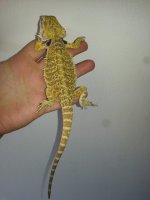 Female 2nd Condo!.jpg