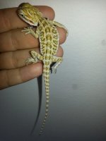 Female 2nd Condo.jpg