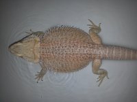 20131130_164840.jpg