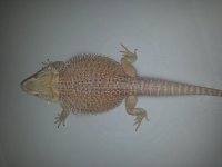 20131130_164844.jpg