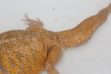 IMG_7341.jpg