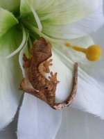20131109_152533.jpg