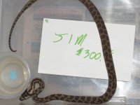 j1m 11-4.jpg